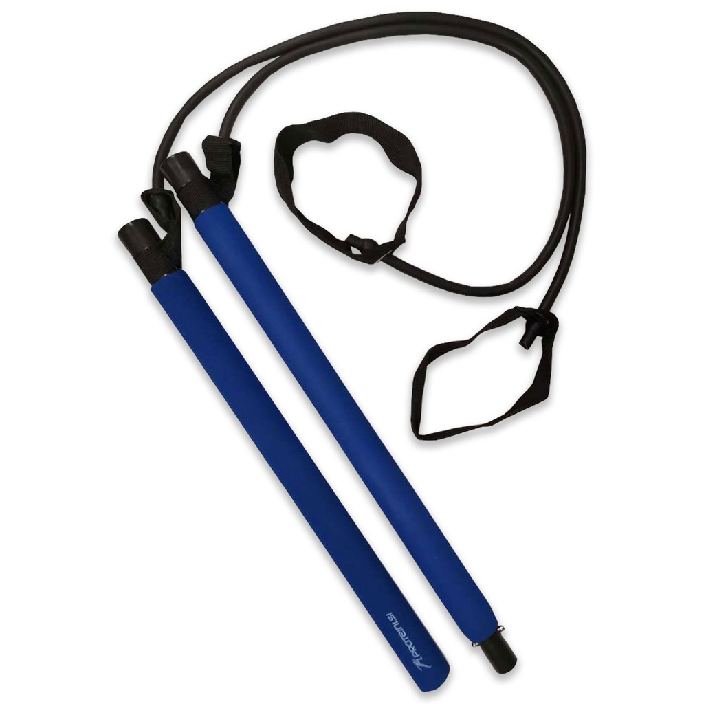 PROTEINI.SI GYMSTICK