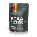 GERMAN FORGE BCAA PROFESSIONAL, 500g