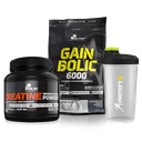 PAKET ZA PRIDOBIVANJE MIŠIČNE MASE - STARTER PACK